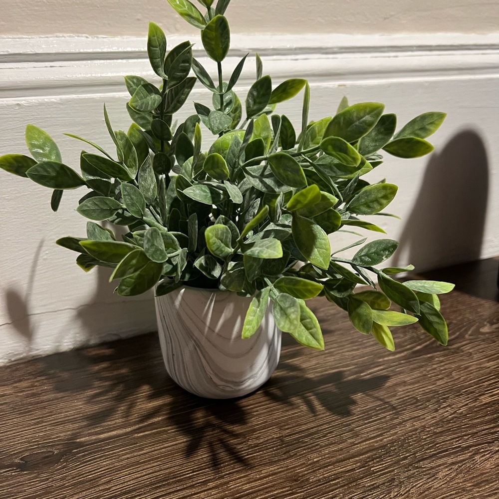 Fake plant